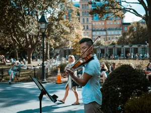 violin